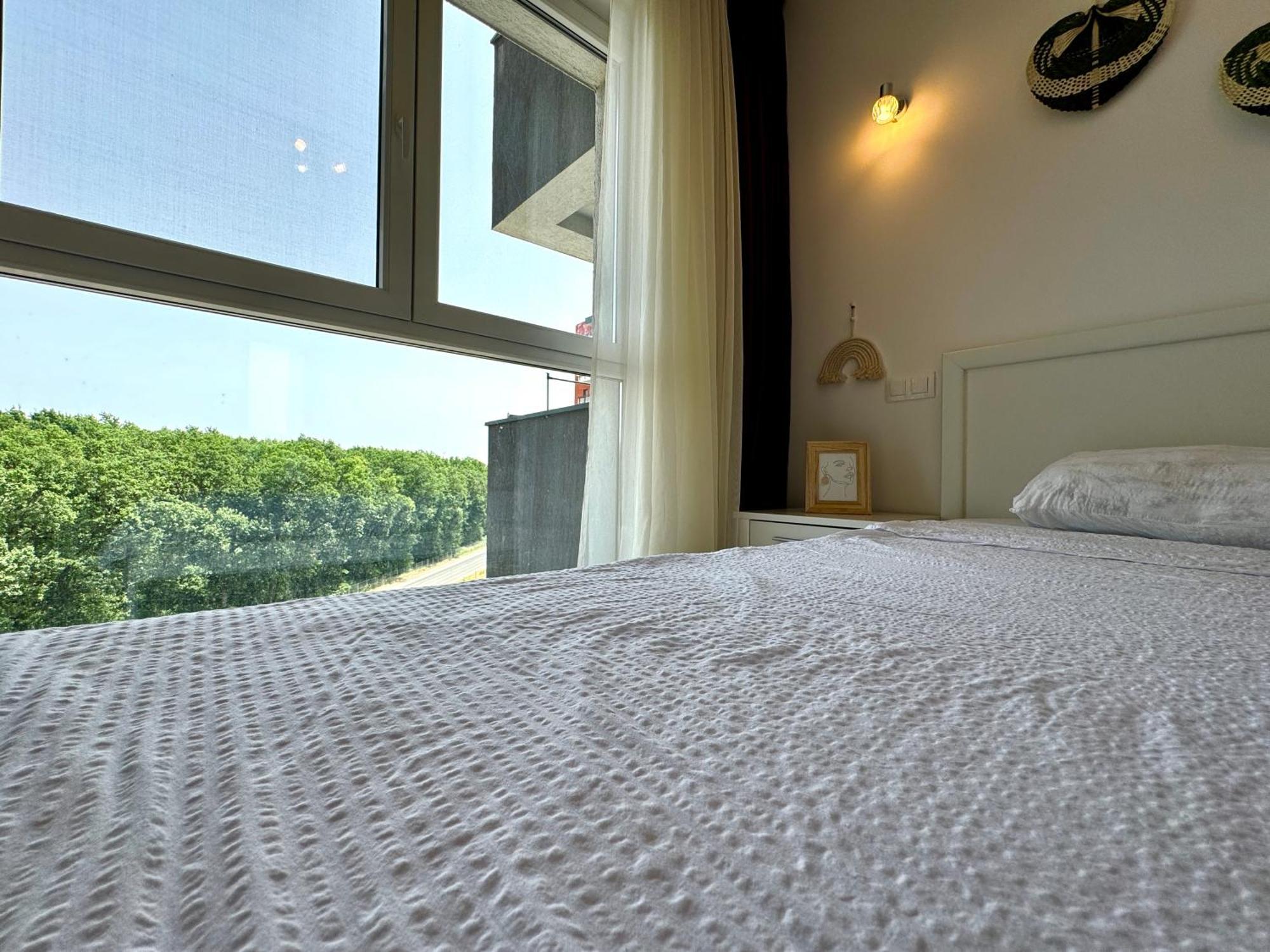 Green Vista 티미쇼아라 외부 사진